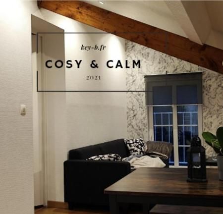 Calm & Cosy Lejlighed Freyming-Merlebach Eksteriør billede