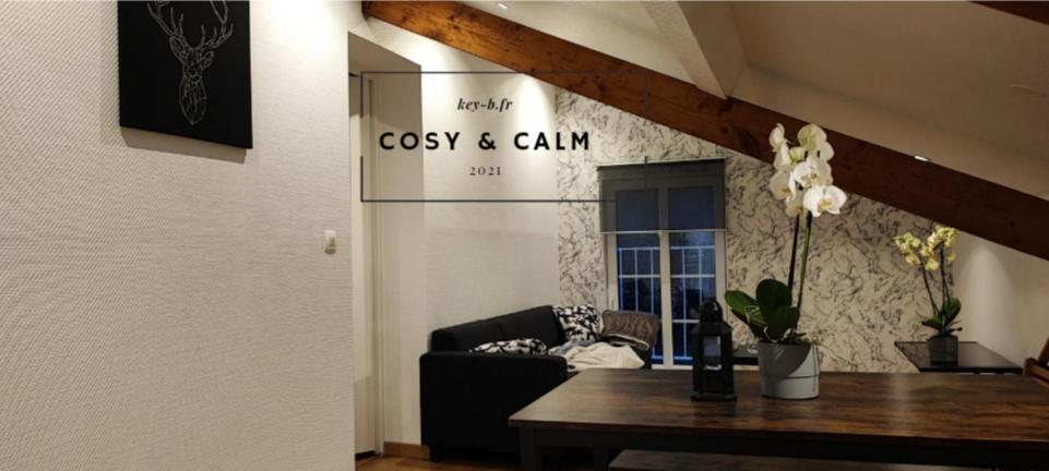 Calm & Cosy Lejlighed Freyming-Merlebach Eksteriør billede